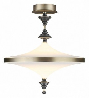 Светильник на штанге Odeon Light Ula 5404/43CL в Когалыме - kogalym.ok-mebel.com | фото 2