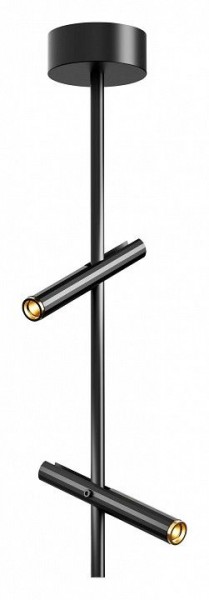 Светильник на штанге ST-Luce LILT SL6210.403.02 в Когалыме - kogalym.ok-mebel.com | фото