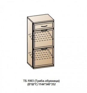ТБ-1003 (Тумба-обувница) в Когалыме - kogalym.ok-mebel.com | фото