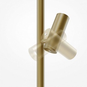 Торшер Maytoni Thin MOD395FL-L28BS3K в Когалыме - kogalym.ok-mebel.com | фото 6
