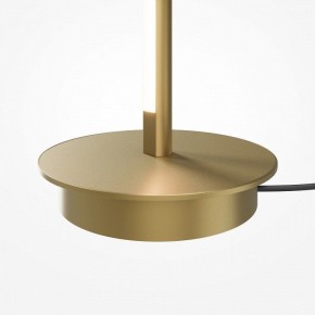 Торшер Maytoni Thin MOD395FL-L28BS3K в Когалыме - kogalym.ok-mebel.com | фото 7