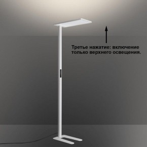 Торшер Novotech STUDI 359545 в Когалыме - kogalym.ok-mebel.com | фото 6