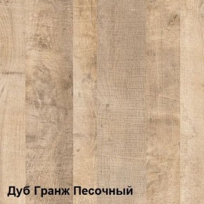 Трувор Шкаф 13.204 в Когалыме - kogalym.ok-mebel.com | фото 4