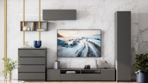 Тумба под ТВ Сибити в Когалыме - kogalym.ok-mebel.com | фото 3