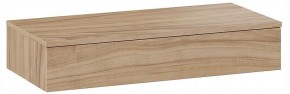 Тумбочка навесная ТД-102.08.02 в Когалыме - kogalym.ok-mebel.com | фото 3