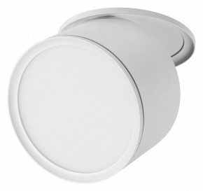 Встраиваемый светильник Lightstar Acuto 215856 в Когалыме - kogalym.ok-mebel.com | фото