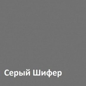 Юнона Шкаф торцевой 13.221 в Когалыме - kogalym.ok-mebel.com | фото 2